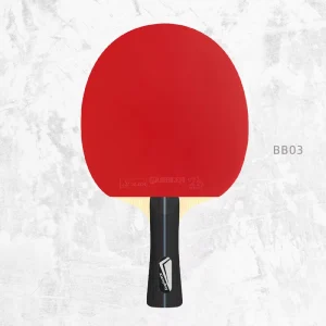 Professional Table Tennis Racket with 4 Stars Customized ITTF Approved Rubber Paddle Sport Table Tennis Blade