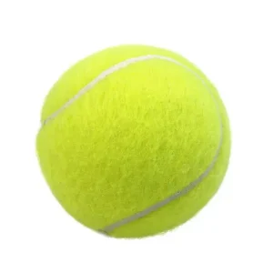 Professional Tennis Racket for Beginners and Advanced Players