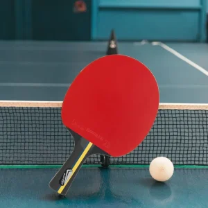 Professional Wood Table Tennis Racket Ping Pong Bat With Custom Approved