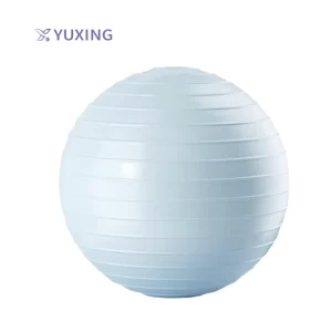 Professional Yoga Ball 75cm Gym Fitness Pilates Accessories Custom Printed Yoga Balls