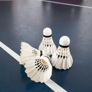 Q200 6 Durable Natural Sports Training Badminton Shuttlecocks PU Cork Head 2 Layer Straight Feather Lightweight High Elastic