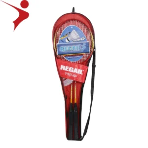 Regail 826 Badminton Racket with Ball Low Price Badminton Racket Set Sport Training Badminton Racket Set