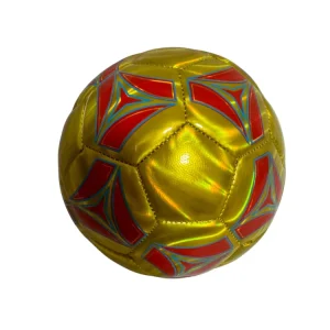 Soft and Lightweight Size 2 Soccer Ball PVC Material Machine Stitched Mini Ball for Kids’ Outdoor Training Games