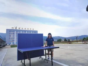 TTB010 Outdoor Indoor Foldable Table Tennis Table 12 15 18mm MDF Blue Top Steel Legs