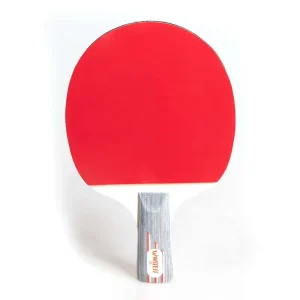 Table Tennis Paddle Racket Bats Set with Long Pimples Rubber 5 Ply Baseboard Durable Training Equipment