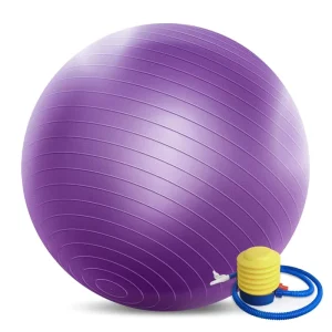 Unisex Yoga Balls Customized Logo Yoga Home Gym Fitness Set Pilates Yoga Ball Kit Set