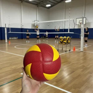 V200 V300 V330 VQ2000 Dia 204mm 260 280g Japanese Micro Fiber Dimpled Texture Volleyball for Indoor Club Use Volley