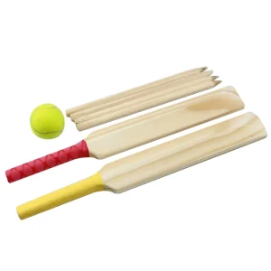 Wooden Cricket Set for Kids Cricket Bat with Cover