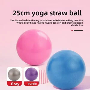 Yoga Ball Pilates Mini Ball Thickened Explosion proof 25cm Matte Finish PVC Fitness Exercise Balance Ball